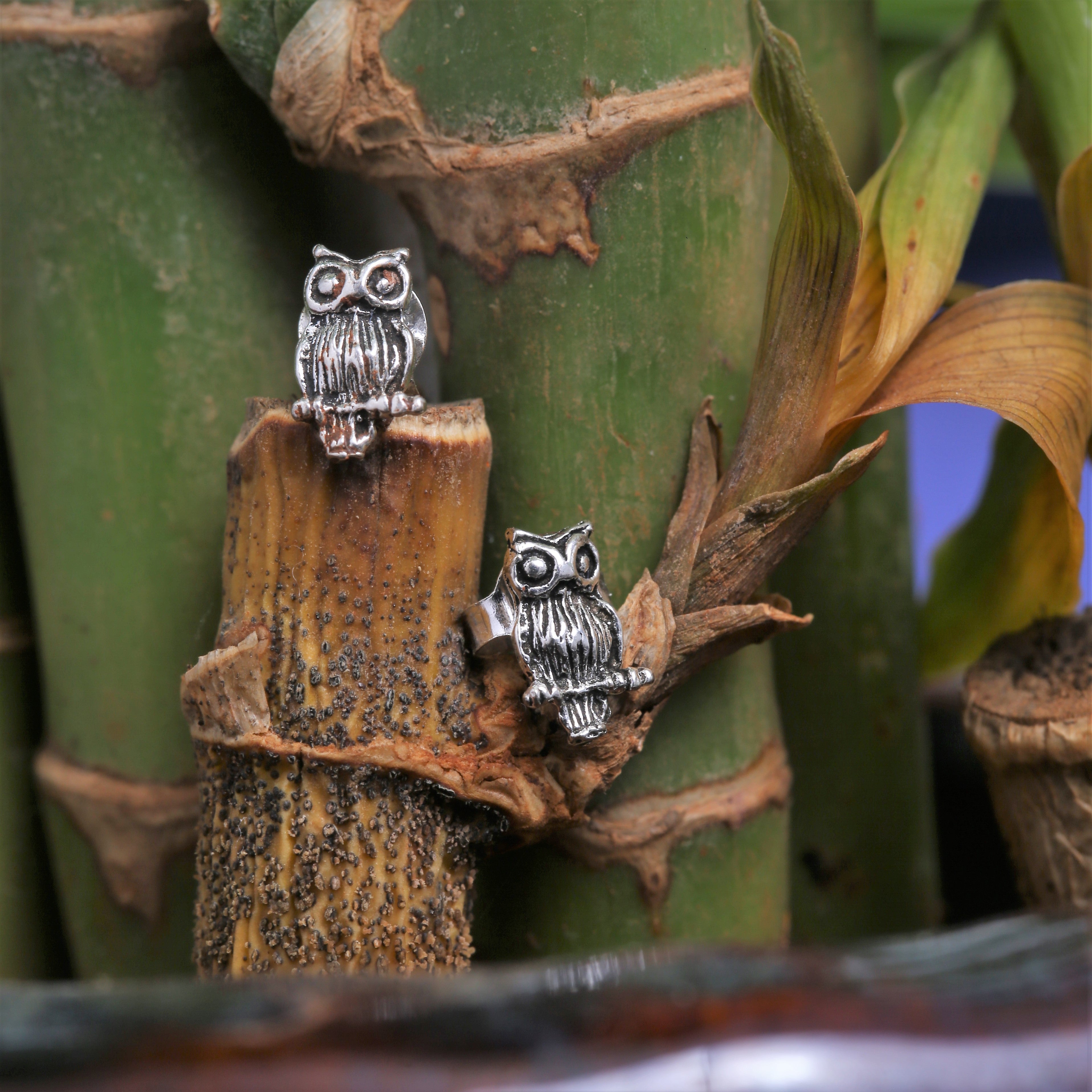 Owl on sale stud earrings